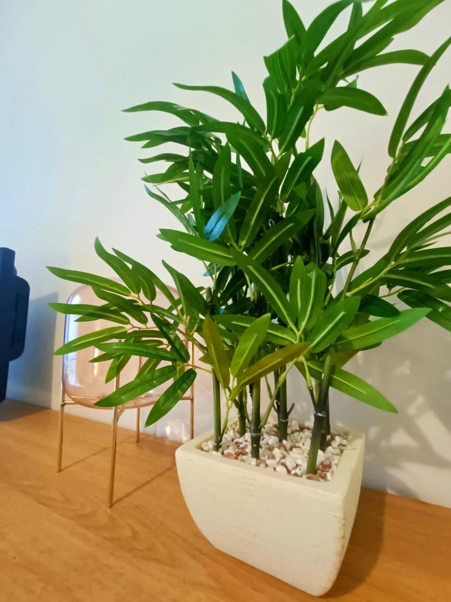 הוילה דרלינגטון Rosa House מראה חיצוני תמונה
